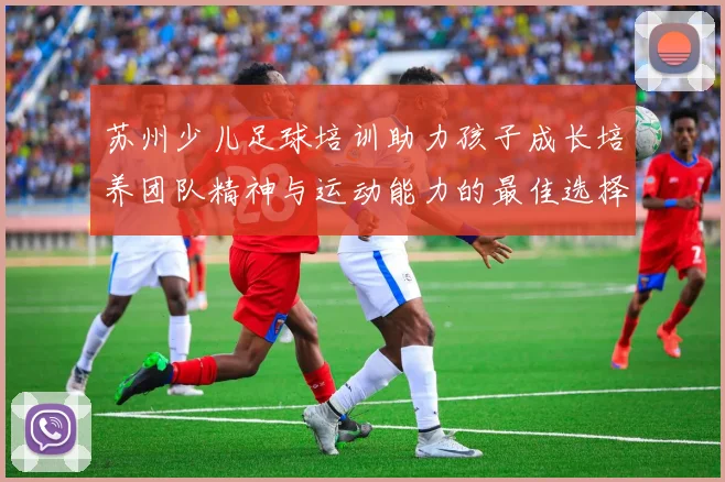 苏州少儿足球培训助力孩子成长培养团队精神与运动能力的最佳选择