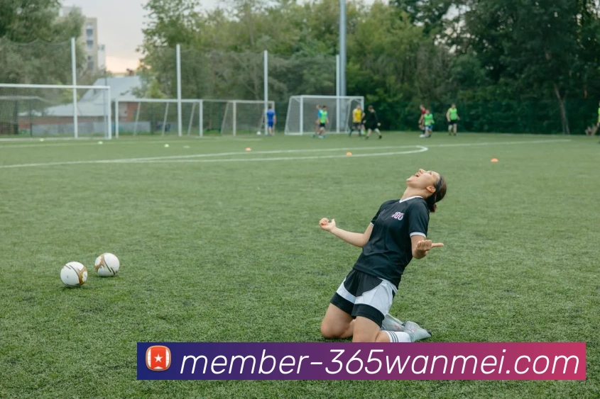 多媒体互动体验